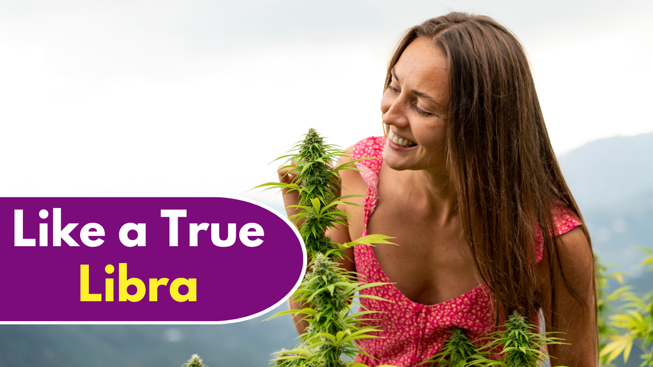 How to Manage Your Money Like a True Libra